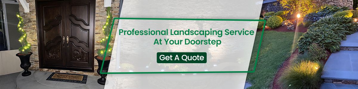 Professional Landscaping Service At your Doorstep