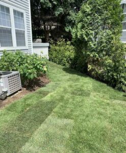 Landscaping Maintenance in NY