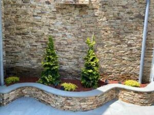 Ornamental Tree Pruning Service in Westchester