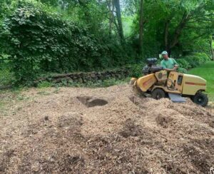 Stump Grinding Services In New York